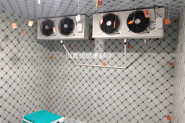 ɽtе